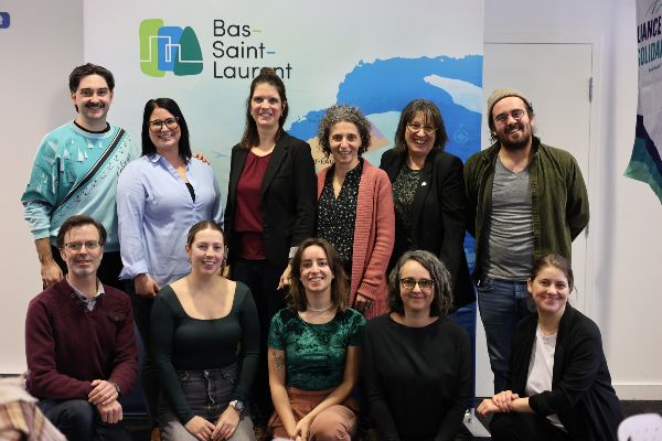 Ressources en DS des MRC du BSL