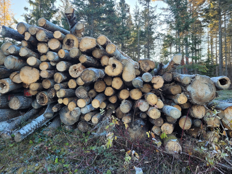 Locale, renouvelable et économique