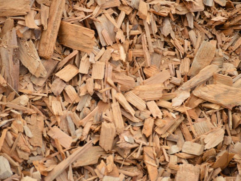 Qu'est-ce que la biomasse forestière résiduelle (BFR)?