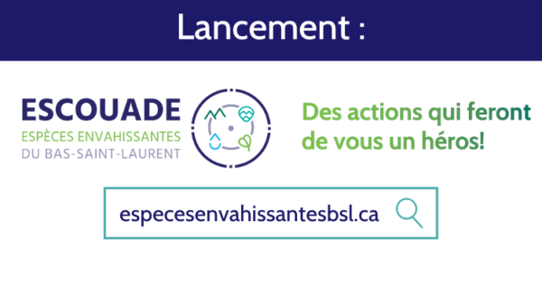 L'Escouade espèces envahissantes du Bas-Saint-Laurent : Une campagne régionale de sensibilisation sur les espèces envahissantes qui invite à l’action