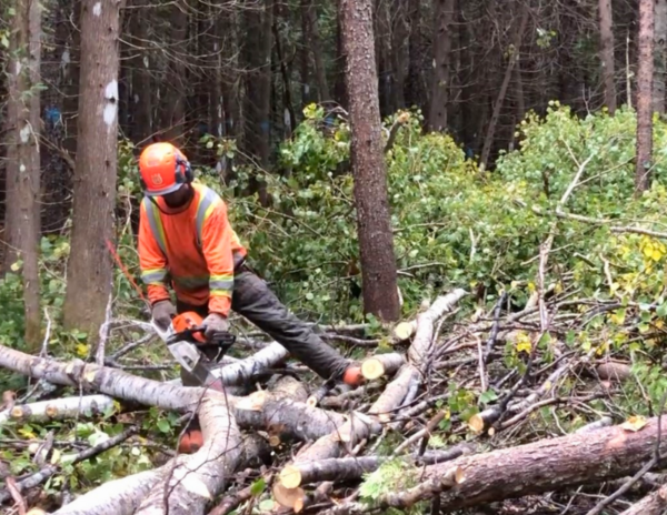 Avenir de l’industrie forestière québécoise : la TREMBSL déplore le fatalisme du premier ministre
